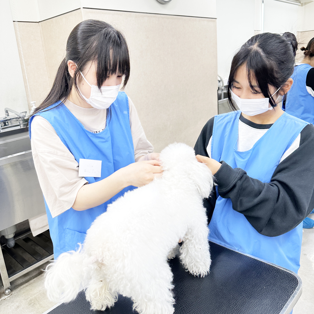 高校３年生対象！入学前のプレ授業♪